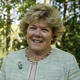 Ann Johnson Stewart